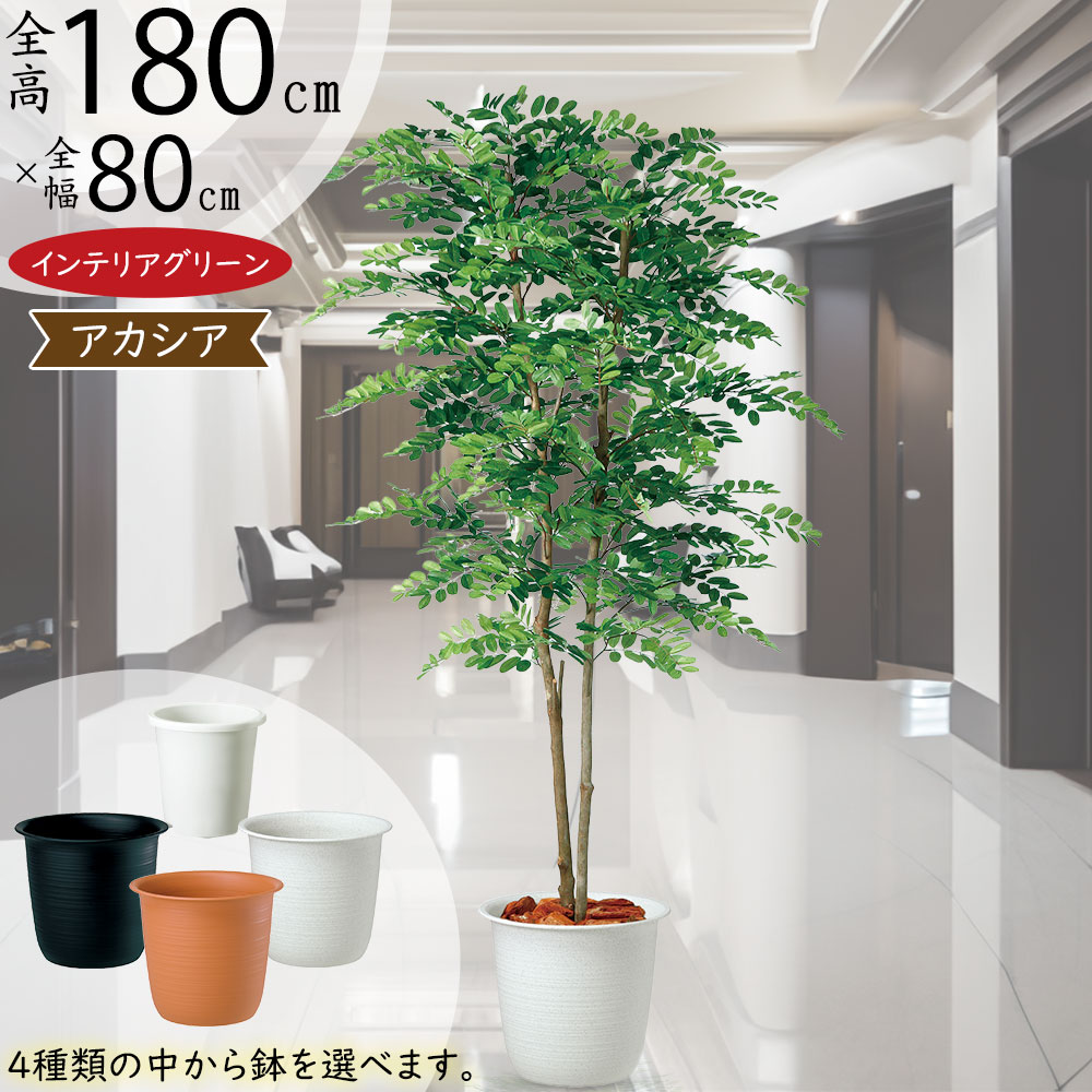 光触媒　人工観葉植物　ウォールグリーン　フェイクグリーン　アカシアコアッド花器付 光触媒 人工観葉植物 ウォールグリーン フェイクグリーン