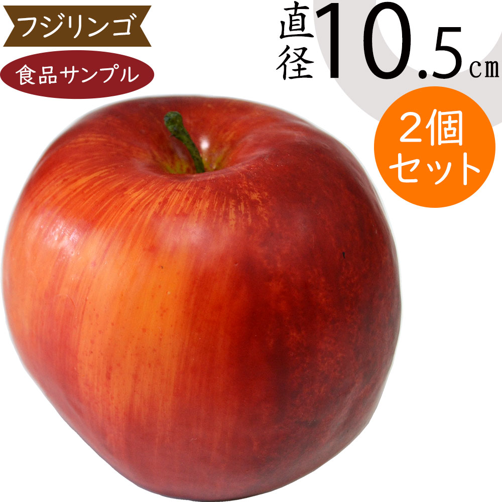 食品サンプル りんご 人気 林檎 リンゴ アップル リアル フェイクフード 果物 フルーツ 造花 おすすめ フラワーアレンジメント ディスプレイ テーブルコーディネート 装飾 模型 陳列 店内 飲食店 メニューサンプル 小物 雑貨 インテリア 本物そっくり 直径10.5cm 2個セット
