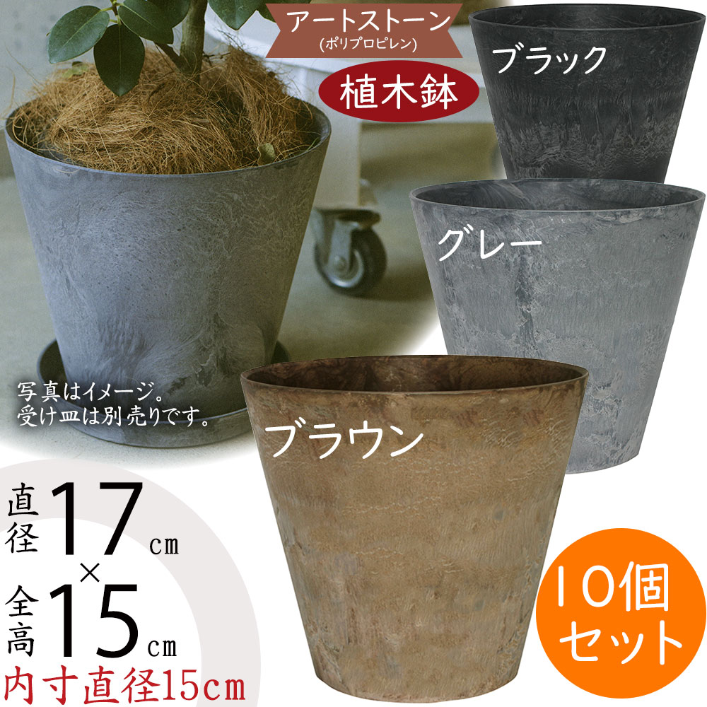 クーポン券