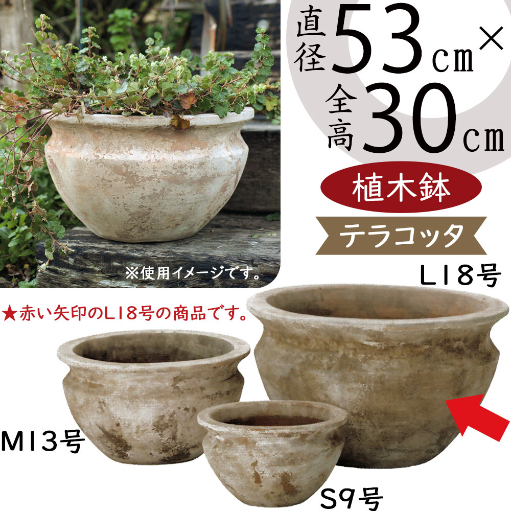 楽天市場】テラコッタ 植木鉢 大型 おしゃれ 人気 プランター
