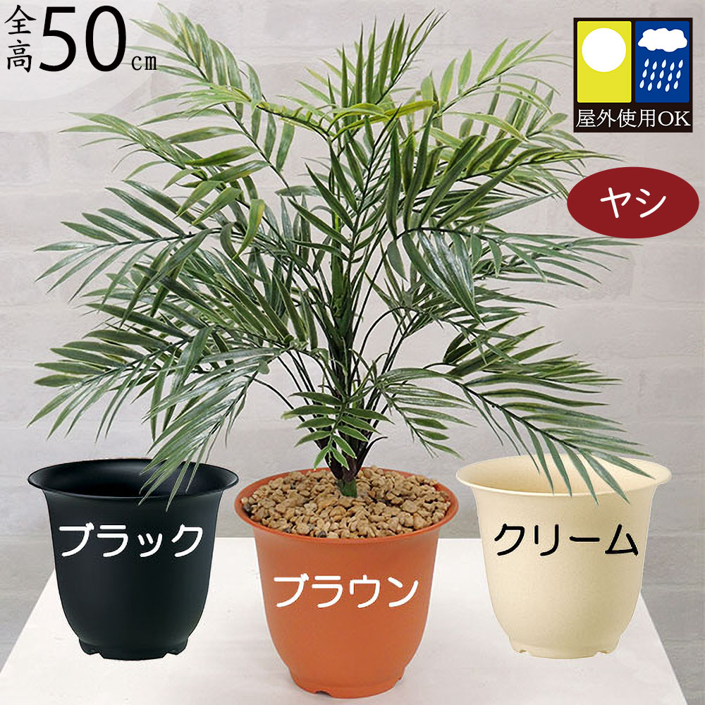 クーポン券