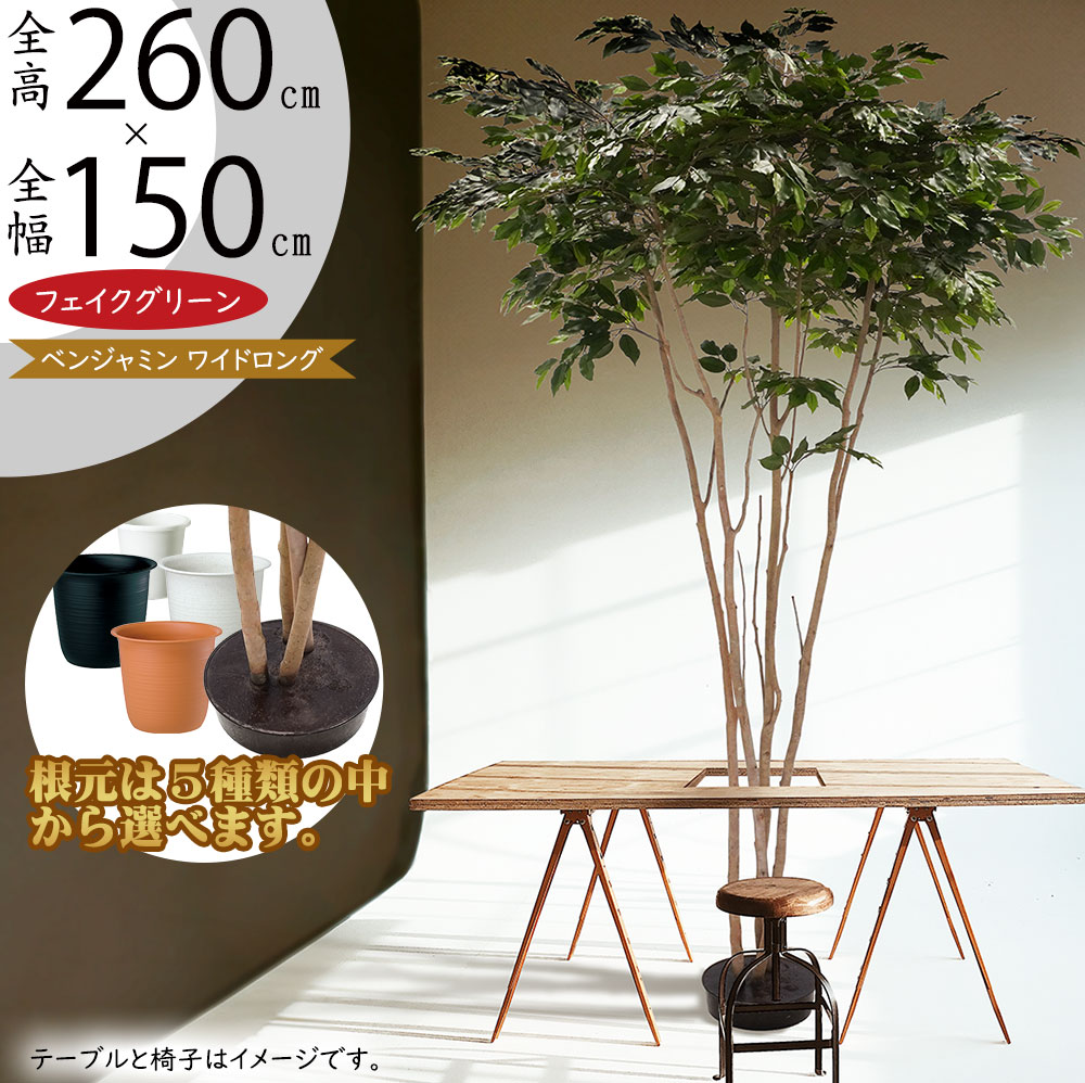 クーポン券