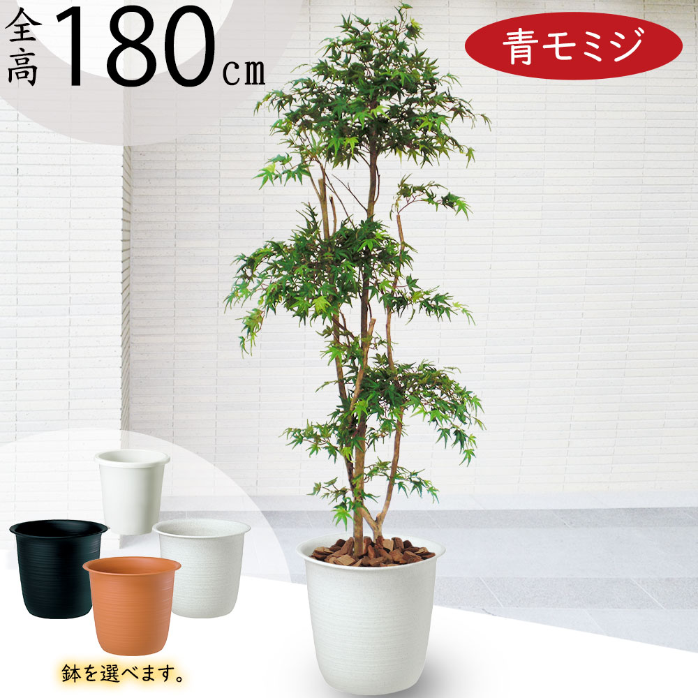 光触媒　人工観葉植物　フェイクグリーン　ヤマモミジ ボウル RED 楽天市場】フェイクグリーン 大型 赤 モミジ もみじ 紅葉 山