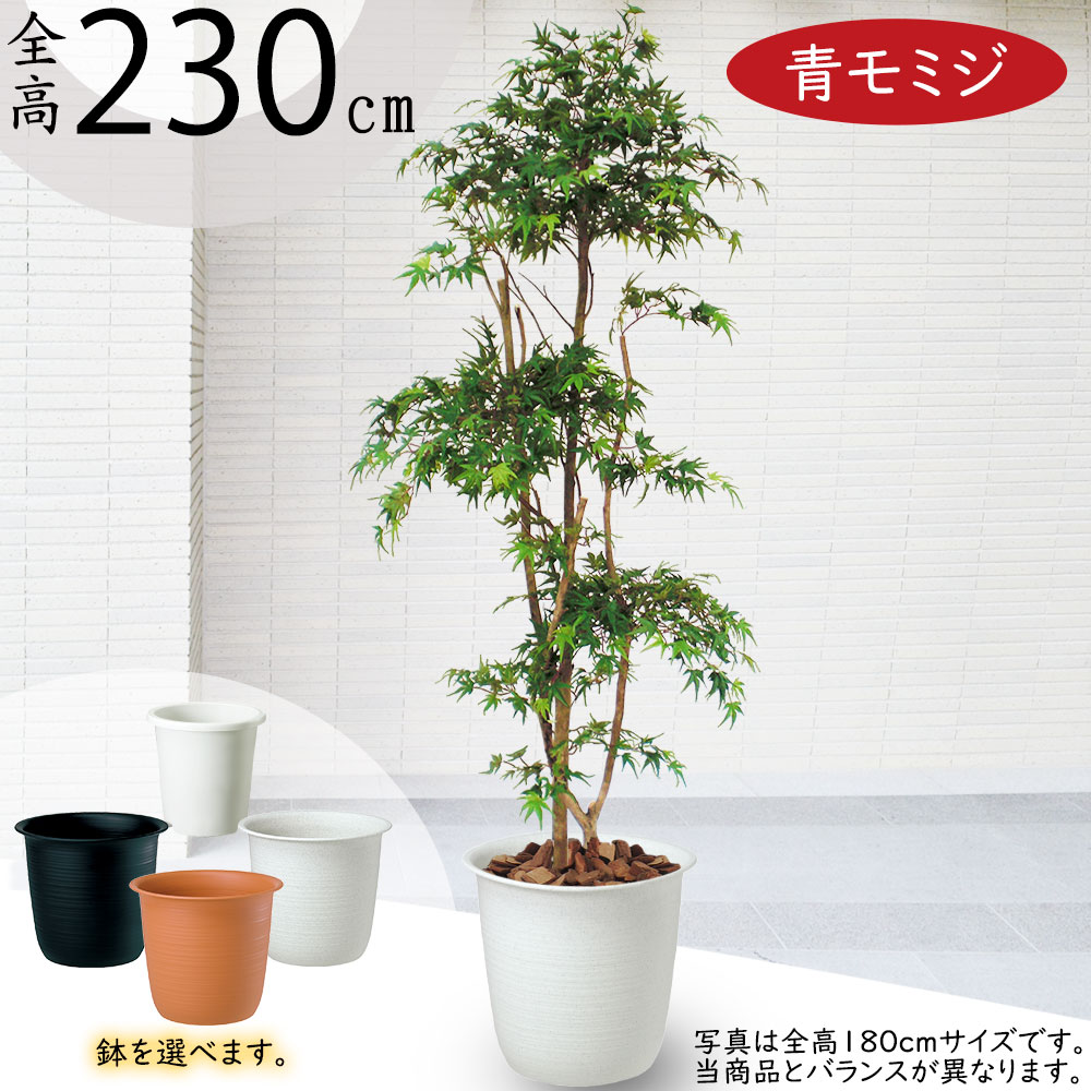 光触媒 人工観葉植物 フェイクグリーン ヤマモミジ GREEN コアッド230