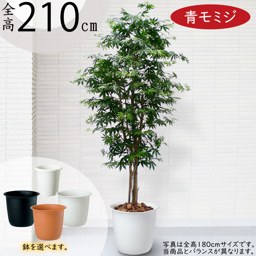 引き換え証