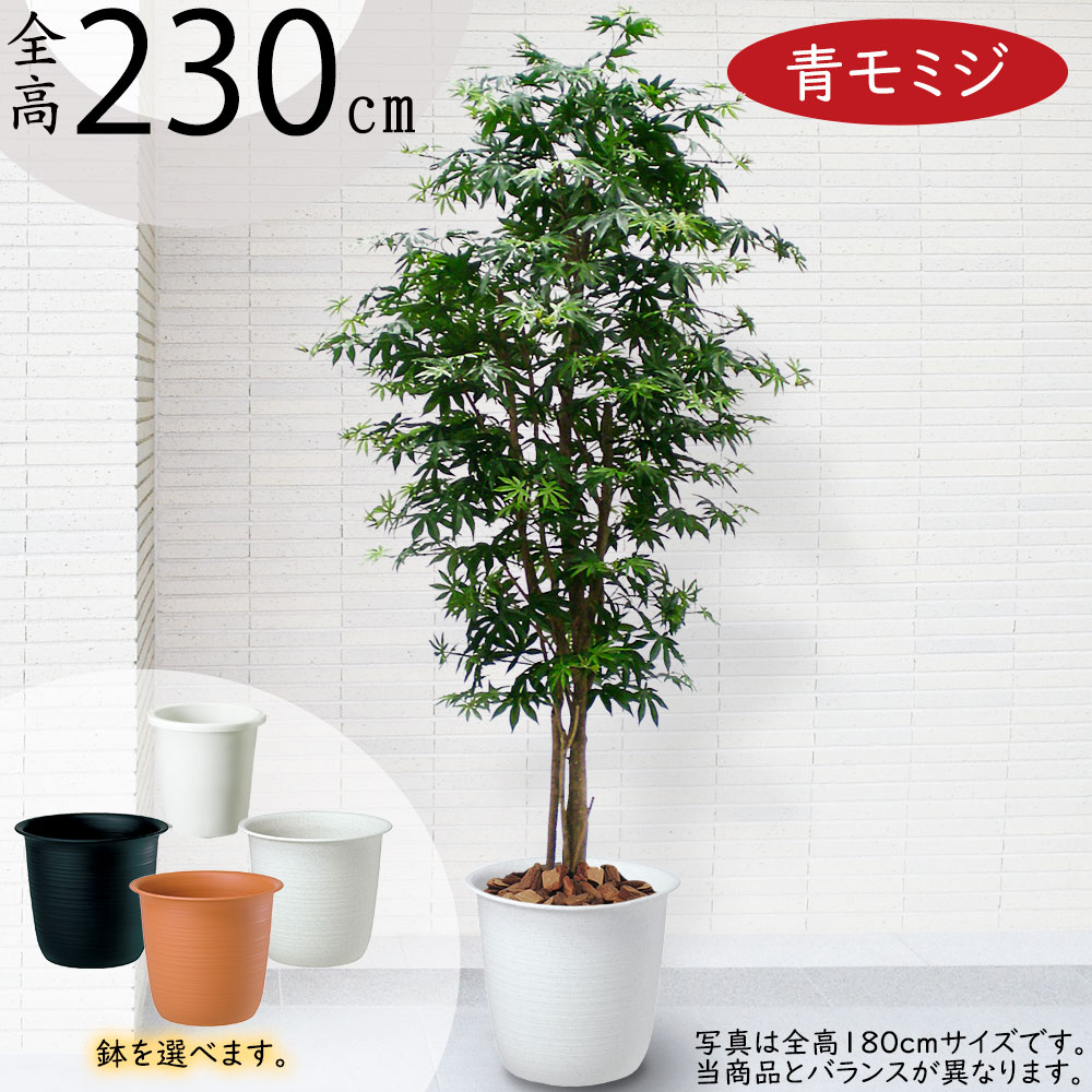 引き換え証