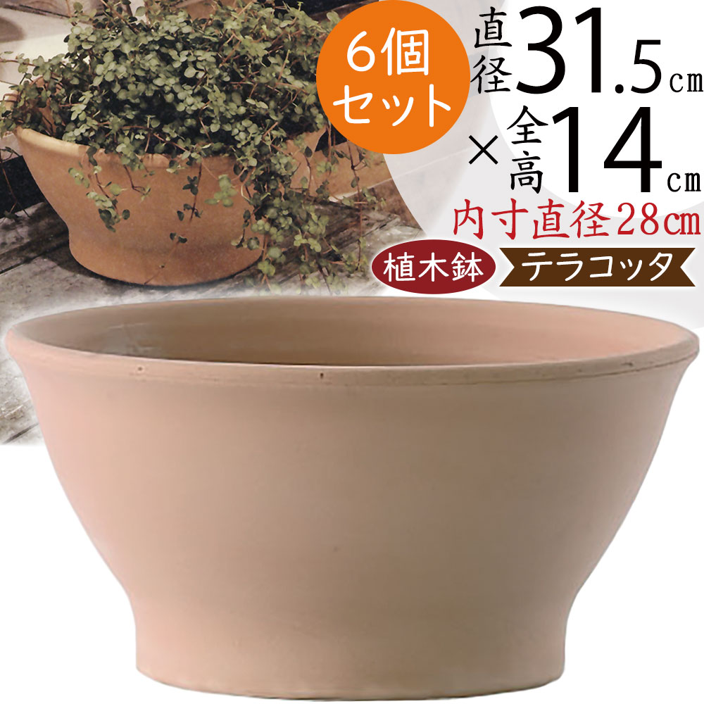 楽天市場】テラコッタ 植木鉢 おしゃれ 人気 プランター おすすめ 観葉