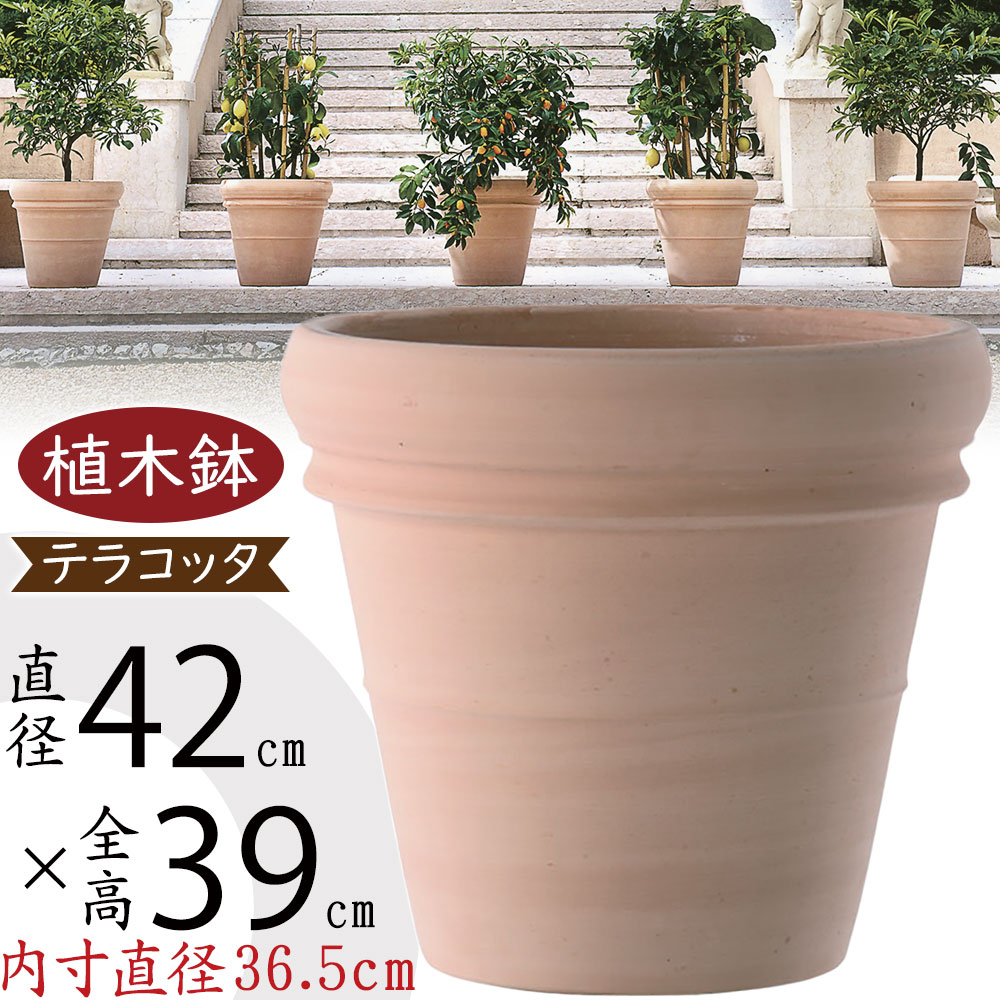 テラコッタ鉢 大きめ de-3142w-z1.jpg