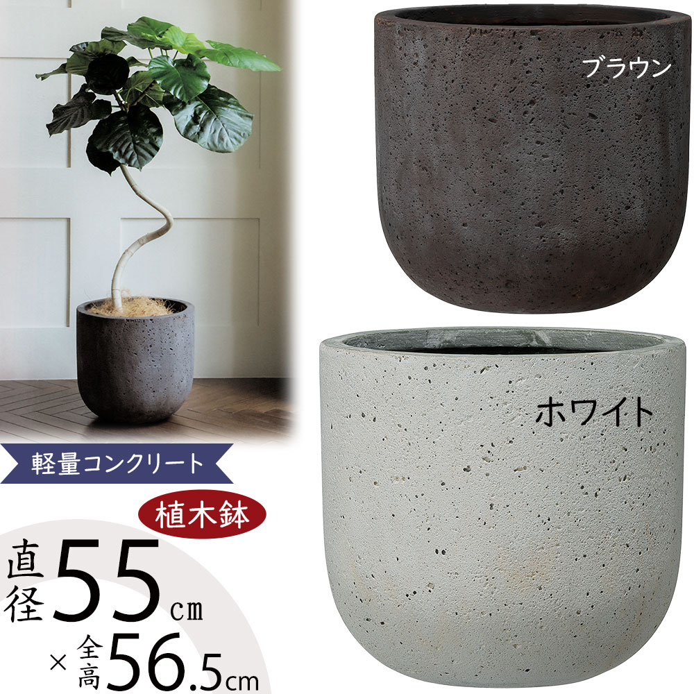 クーポン券