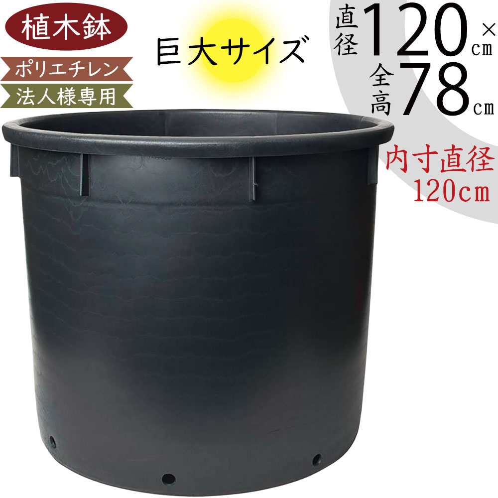 引き換え証