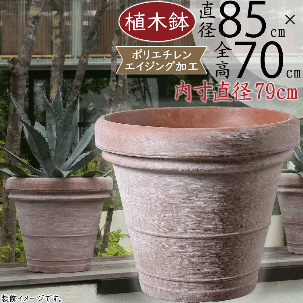 楽天市場】特大大植木鉢 大きい植木鉢 ボルドー60 テラコッタ 大型
