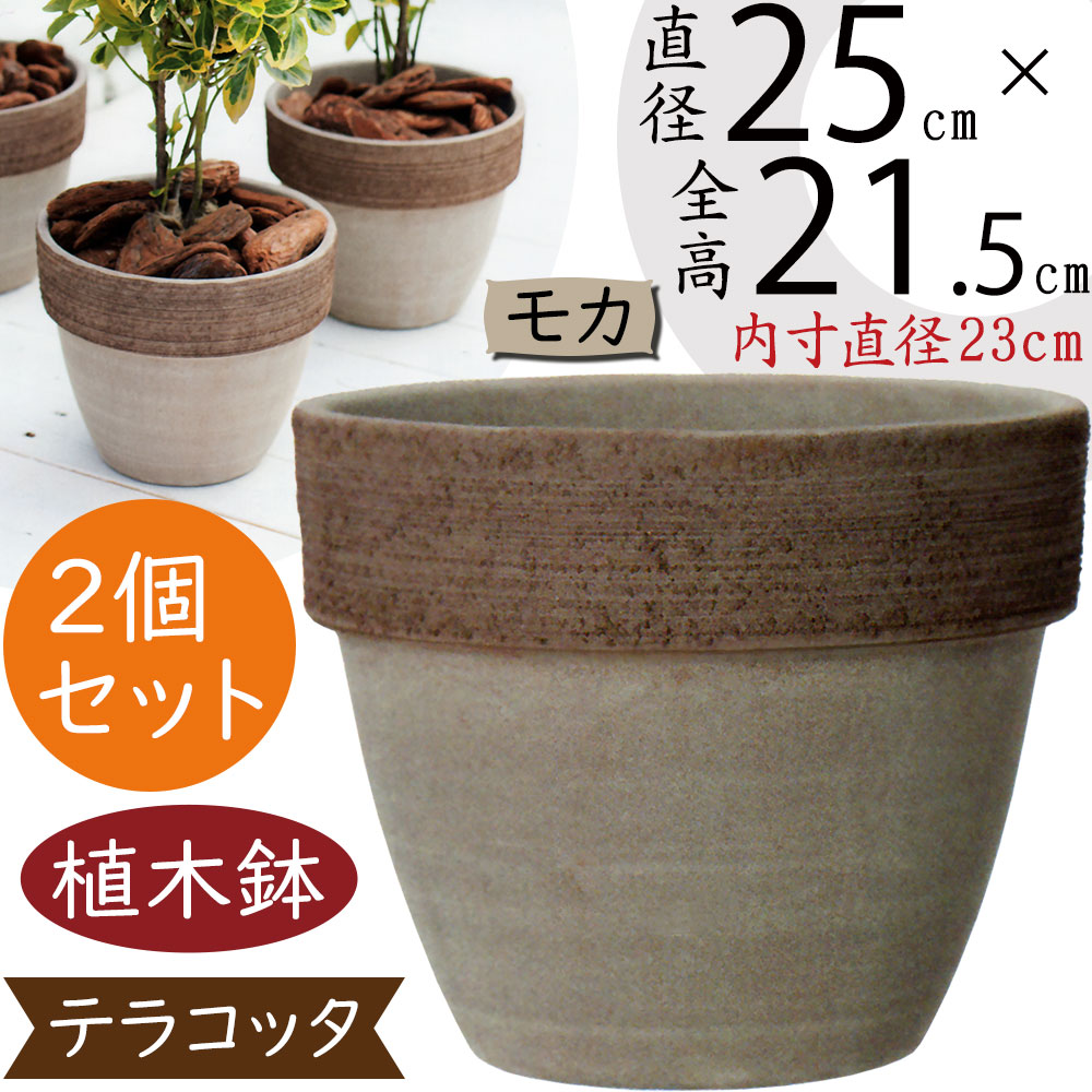 テラコッタ製 ☆花レリーフ模様 楕円植木鉢☆ 英国オルネート社 プランター 楽天市場】植木鉢 おしゃれ テラコッタ オリーブ ラウンド