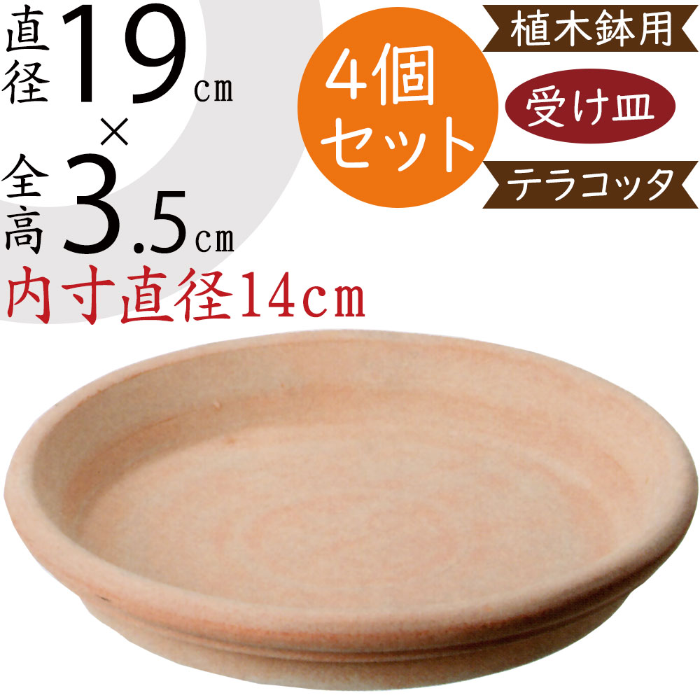 楽天市場】テラコッタ 受け皿 おしゃれ 丸形 ソーサー お皿 器 受皿