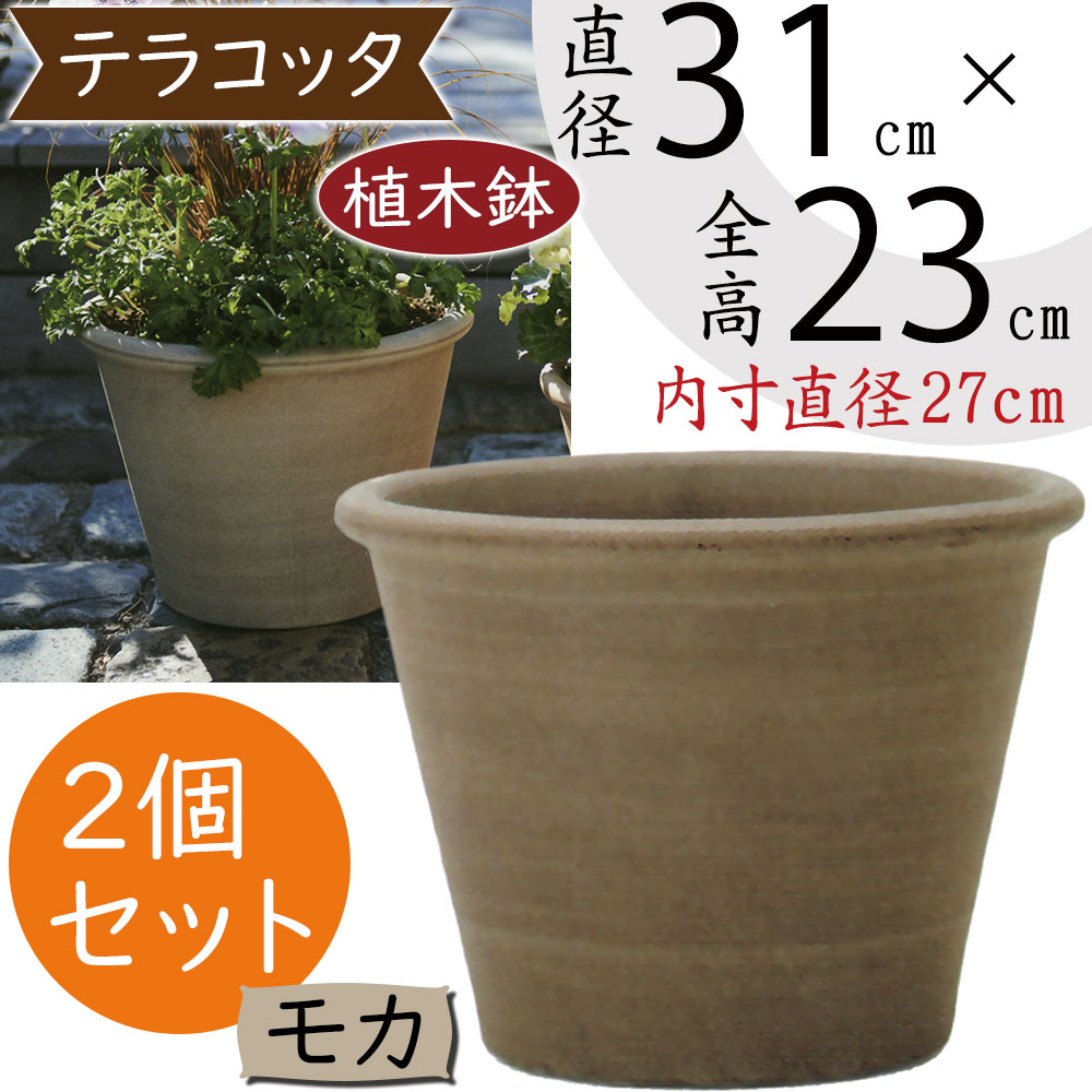 2個　素焼き　壺型テラコッタ鉢 植木鉢 ガーデニング寄せ植え Amazon.co.jp: 2個素焼き 壺型テラコッタ鉢 多肉植物鉢 植木鉢