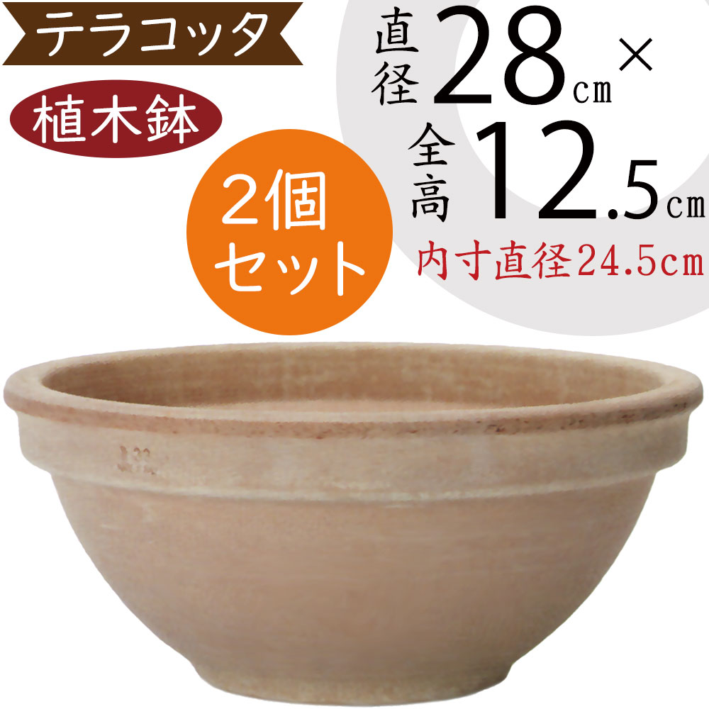 楽天市場】テラコッタ 植木鉢 おしゃれ 人気 プランター おすすめ 観葉