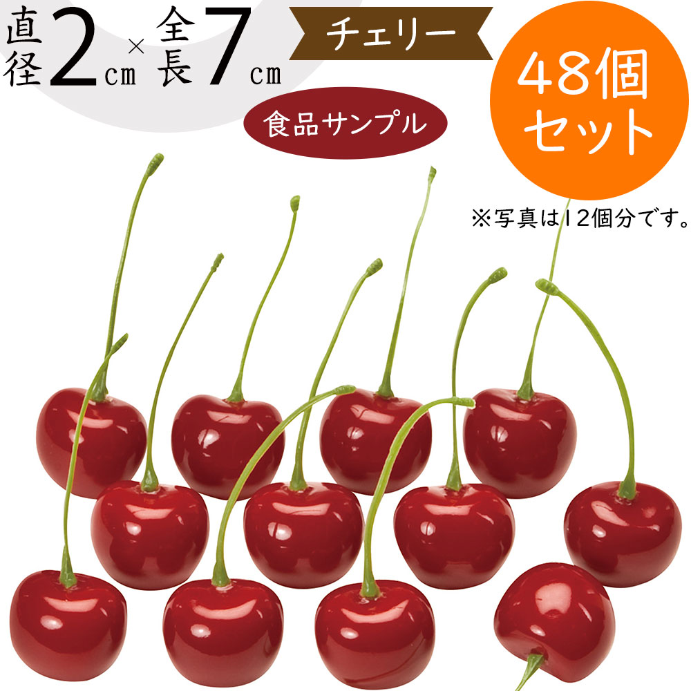 食品サンプル vf-1215-z1.jpg