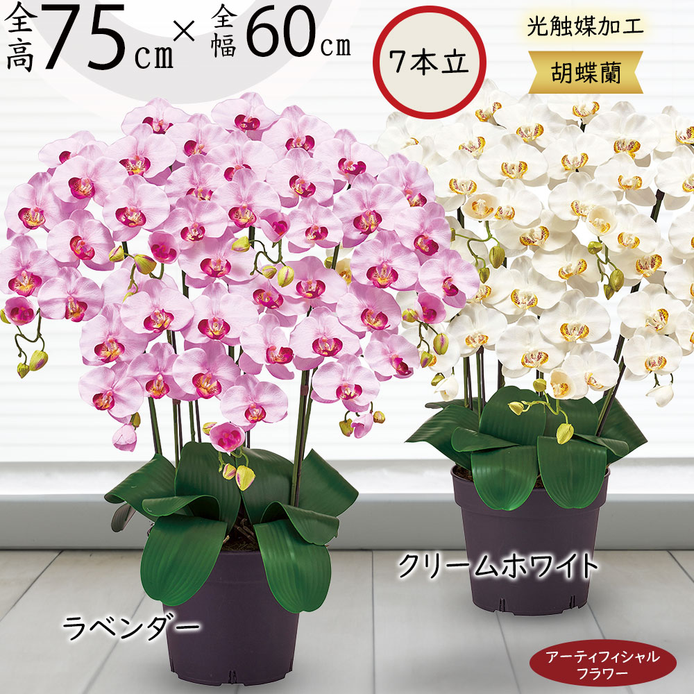 クーポン券