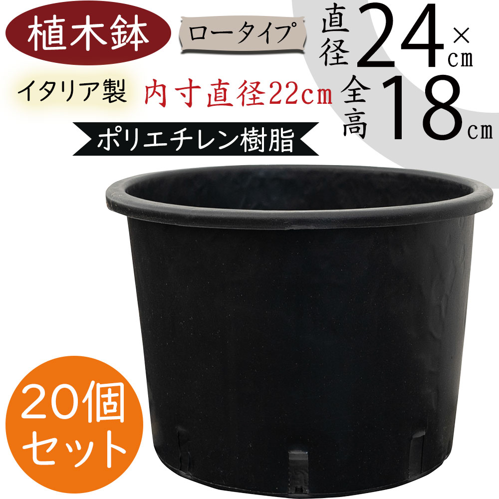 クーポン券