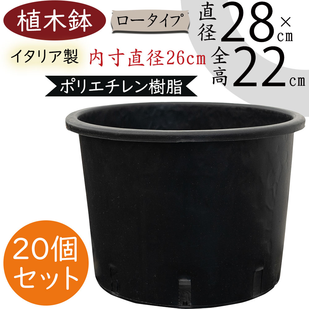 植木鉢 おしゃれ プランター 人気 黒 ブラック イタリア製 ポット 観葉鉢 園芸鉢 鉢カバー 容器 園芸用品 ガーデニング 植栽 樹木 花 緑 軽量 軽い タフ 丈夫 柔軟性あり お洒落 業務用 生産用 高品質 上質 樹脂 ポリエチレン ナーセリーポット ロータイプ 9号 10個セット｜グリーンランド