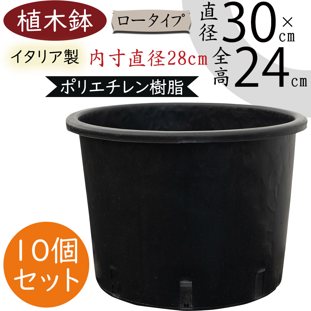 植木鉢 おしゃれ 大型 プランター 人気 黒 ブラック イタリア製 ポット 観葉鉢 園芸鉢 鉢カバー 容器 園芸用品 ガーデニング 植栽 樹木 花 緑 軽量 軽い タフ 丈夫 柔軟性あり お洒落 業務用 生産用 高品質 樹脂 ポリエチレン ナーセリーポット ロータイプ 10号 10個セット