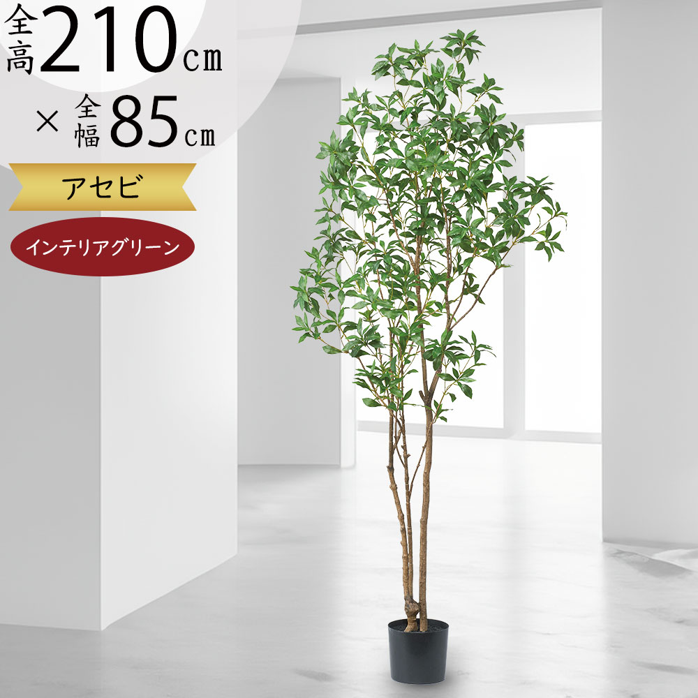 光触媒　人工観葉植物　フェイクグリーン　アカシアディアル150FST ストア・エキスプレス フェイクグリーン 消臭 観葉植物 フェイク