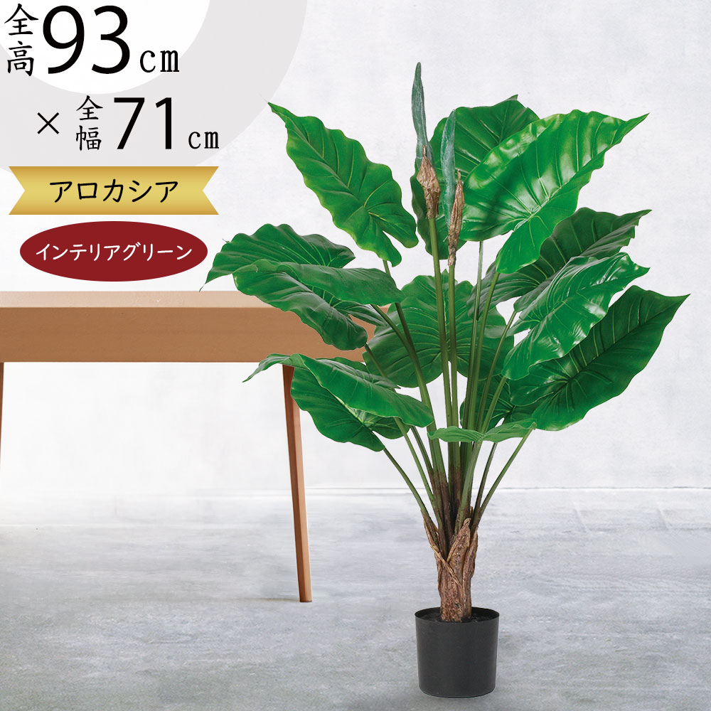 クワズイモ フェイクグリーン 人気 おしゃれ インテリアグリーン リアル 人工観葉植物 観葉植物 人工樹木 造花 アートプランツ アートグリーン 室内 インテリア オブジェ 家具 お洒落 リビング 寝室 ギフト 新築祝い 開店祝い おすすめ グリーンパラソル 鉢付き 全高70cm|グリーンランド