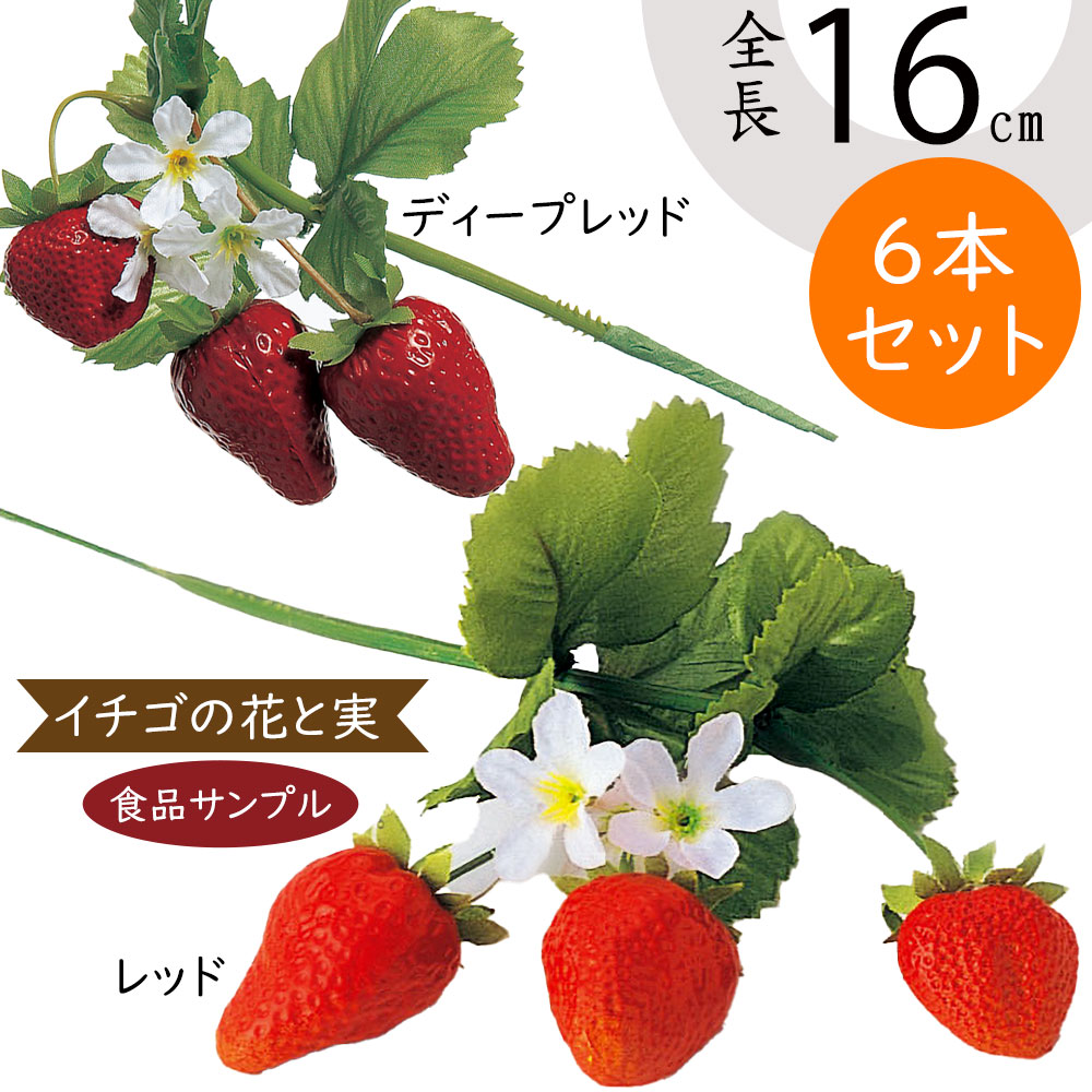 フェイクフルーツ　イチジク　造花 楽天市場】食品サンプル イチジク 人気 いちじく 無花果 リアル