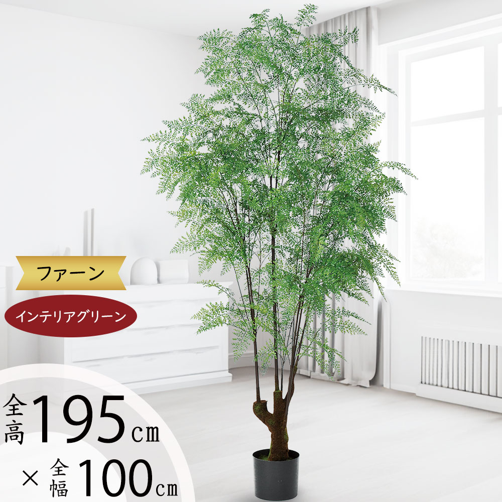 楽天市場】タマシダ フェイクグリーン おしゃれ インテリアグリーン