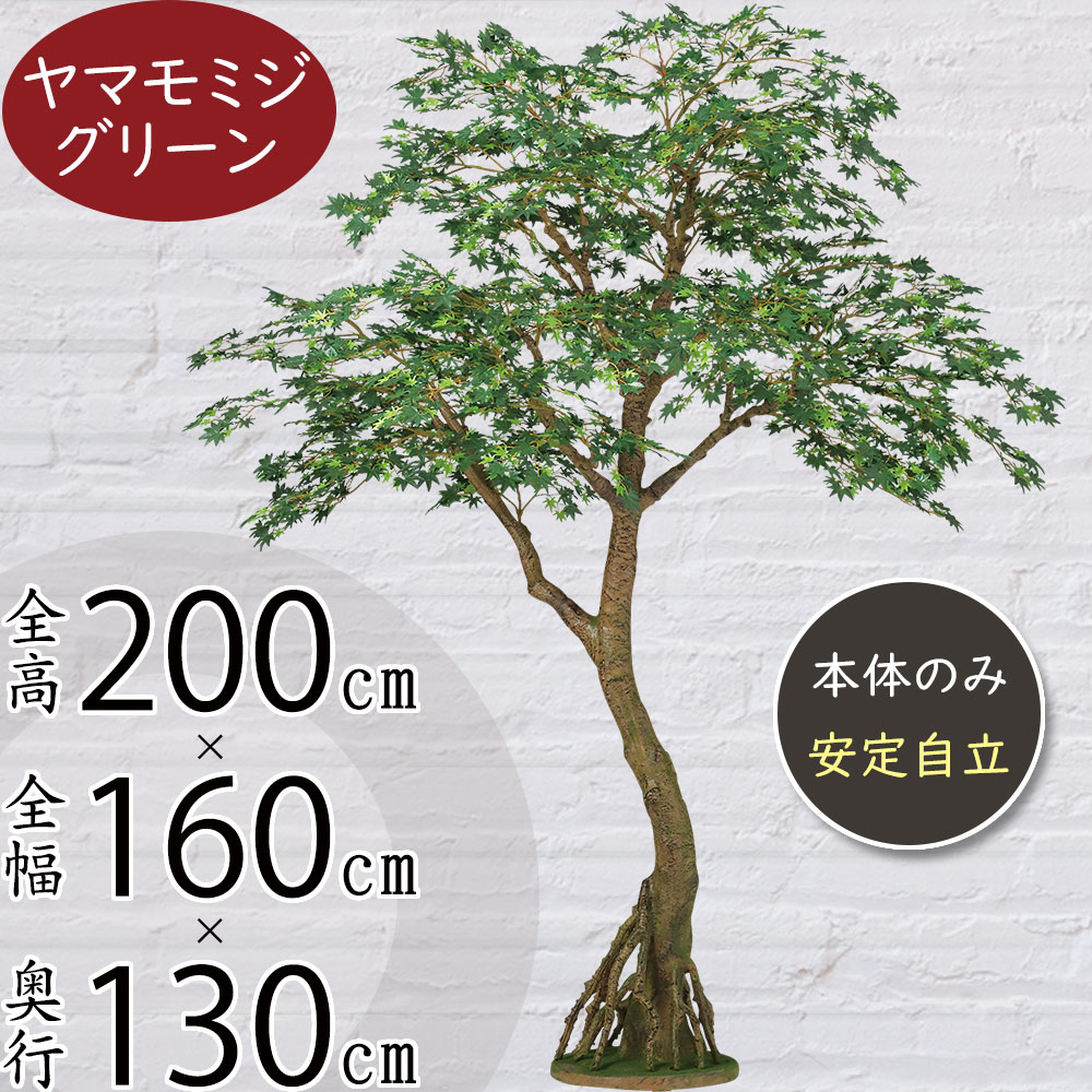光触媒人工観葉植物フェイクグリーンエバーフレッシュ コアッド200