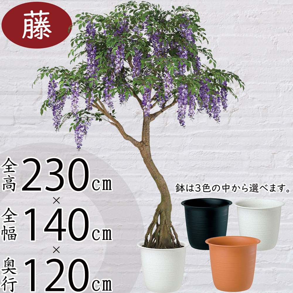 クーポン券