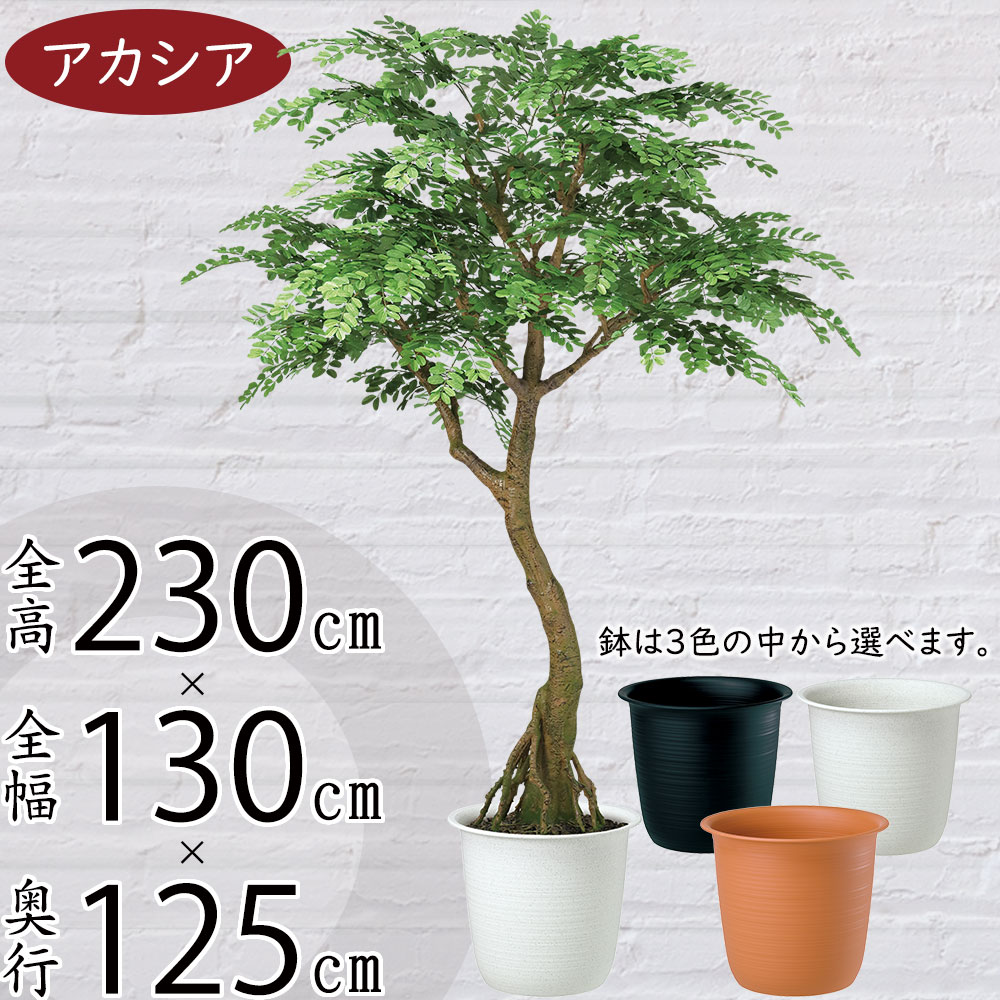 クーポン券