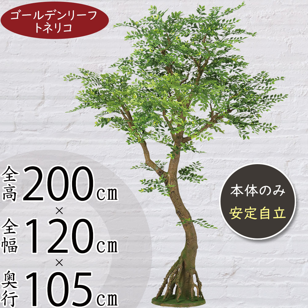 引き換え証