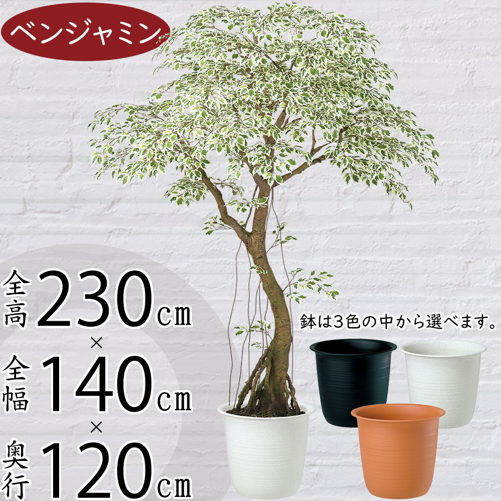 クーポン券