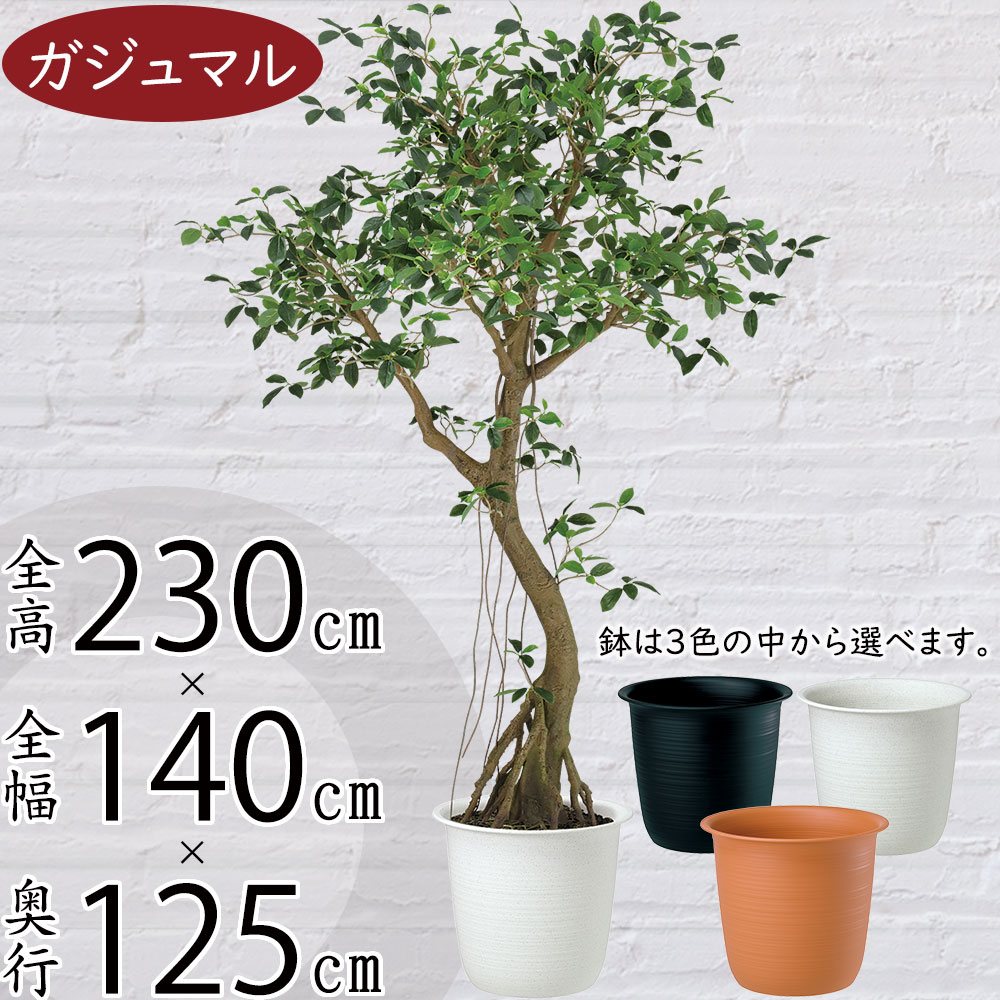 楽天市場】【フェイクグリーン】【法人様専用】大型 特大 観葉植物