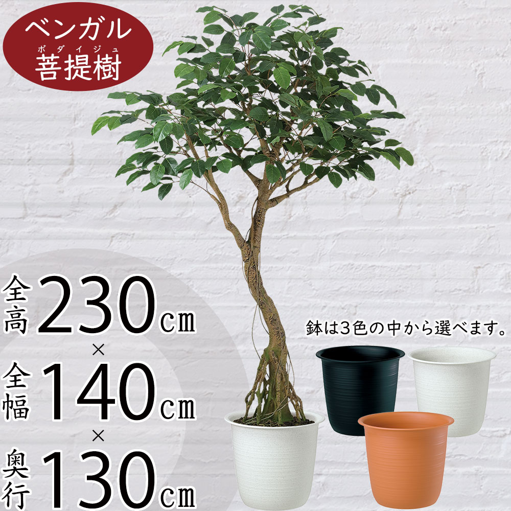 クーポン券