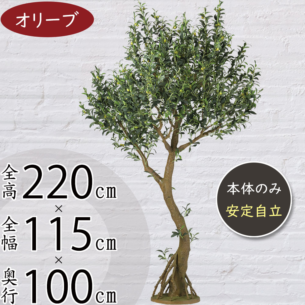 クーポン券