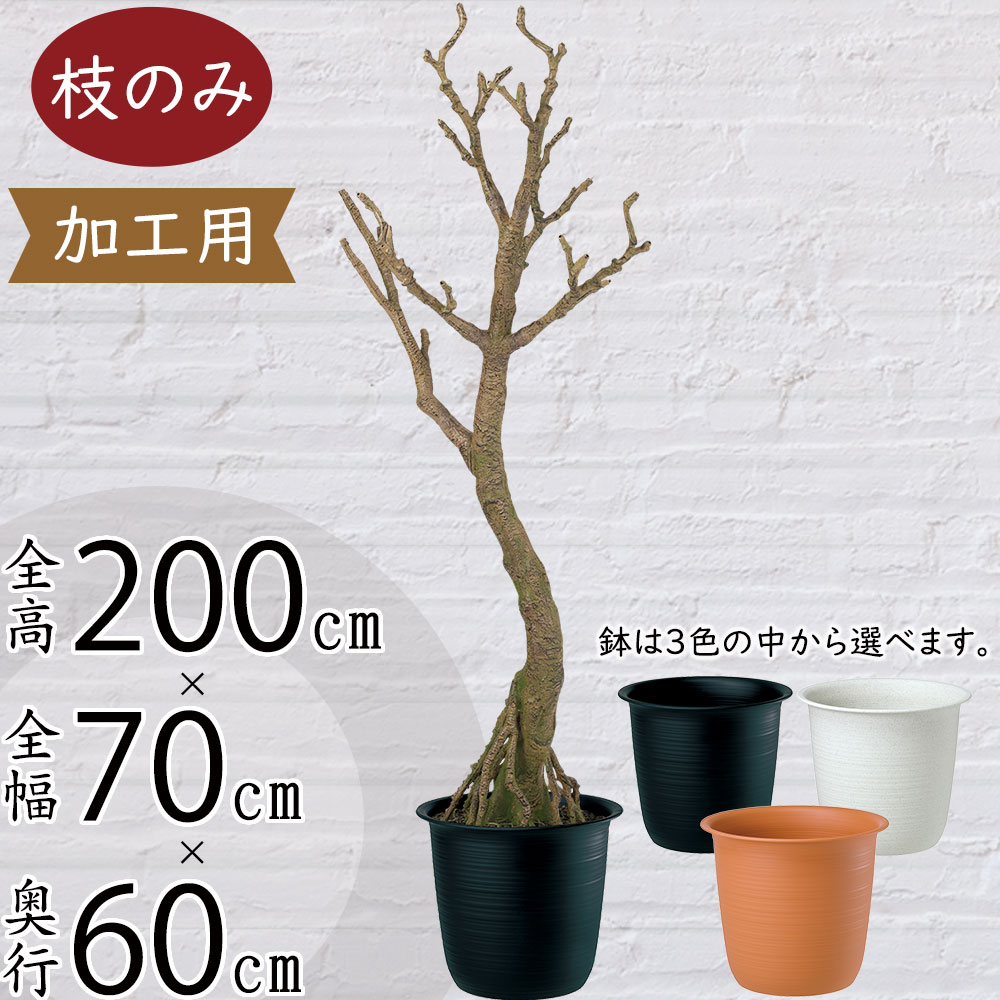 引き換え証