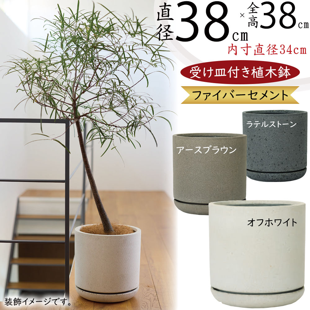 引き換え証