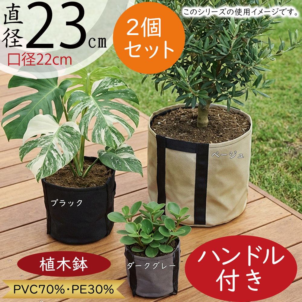 引き換え証