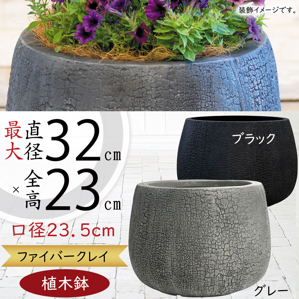 クーポン券