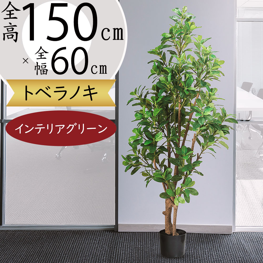 トベラノキ フェイクグリーン 大型 人気 おしゃれ インテリアグリーン リアル 人工観葉植物 人工樹木 造花 アートプランツ アートグリーン 室内 インテリア オブジェ 家具 お洒落 リビング ギフト プレゼント 新築祝い 開店祝い 鉢付き 大きい 大きめ トビラノキ 全高150cm｜グリーンランド 27,463円