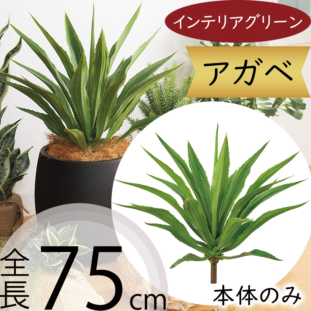 アガベ 多肉植物 大型 フェイクグリーン おしゃれ インテリアグリーン 人気 リアル アートプランツ 造花 アートグリーン 人工観葉植物 花材 葉物 枝物 インテリア オブジェ 家具 雑貨 小物 フラワーアレンジメント ディスプレイ 装飾 可愛い アガヴェ 大きい 大きめ 全長75cm｜グリーンランド