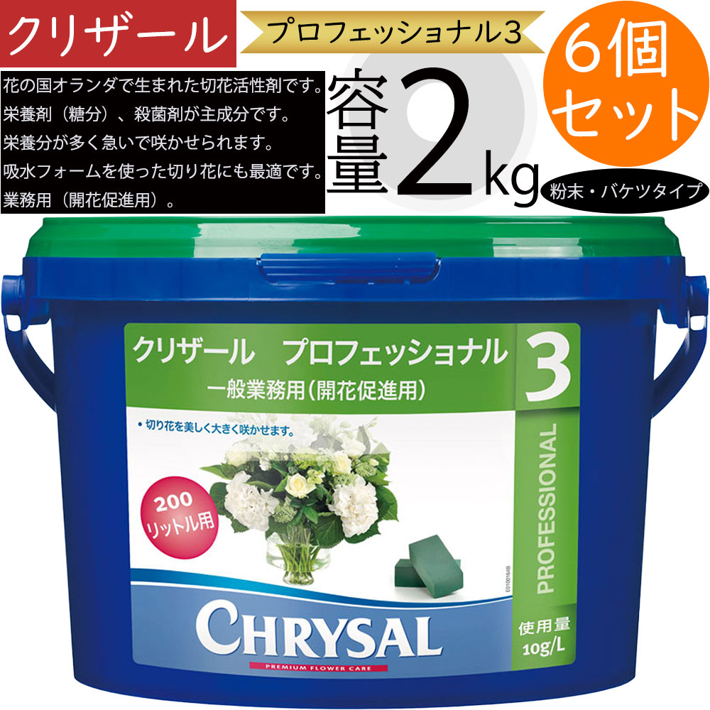 クリザール プロフェッショナル3 業務用 切り花用 切花用 2kg 6個セット 粉末タイプ バケツ 100倍希釈 開花促進用 栄養補給 糖類 抗菌剤 人気 生花店 お花屋さん フラワーショップ 生花販売店向け 花材 資材 園芸用品 栄養分多め 急いで咲かせる 活性剤 おすすめ CHRYSAL