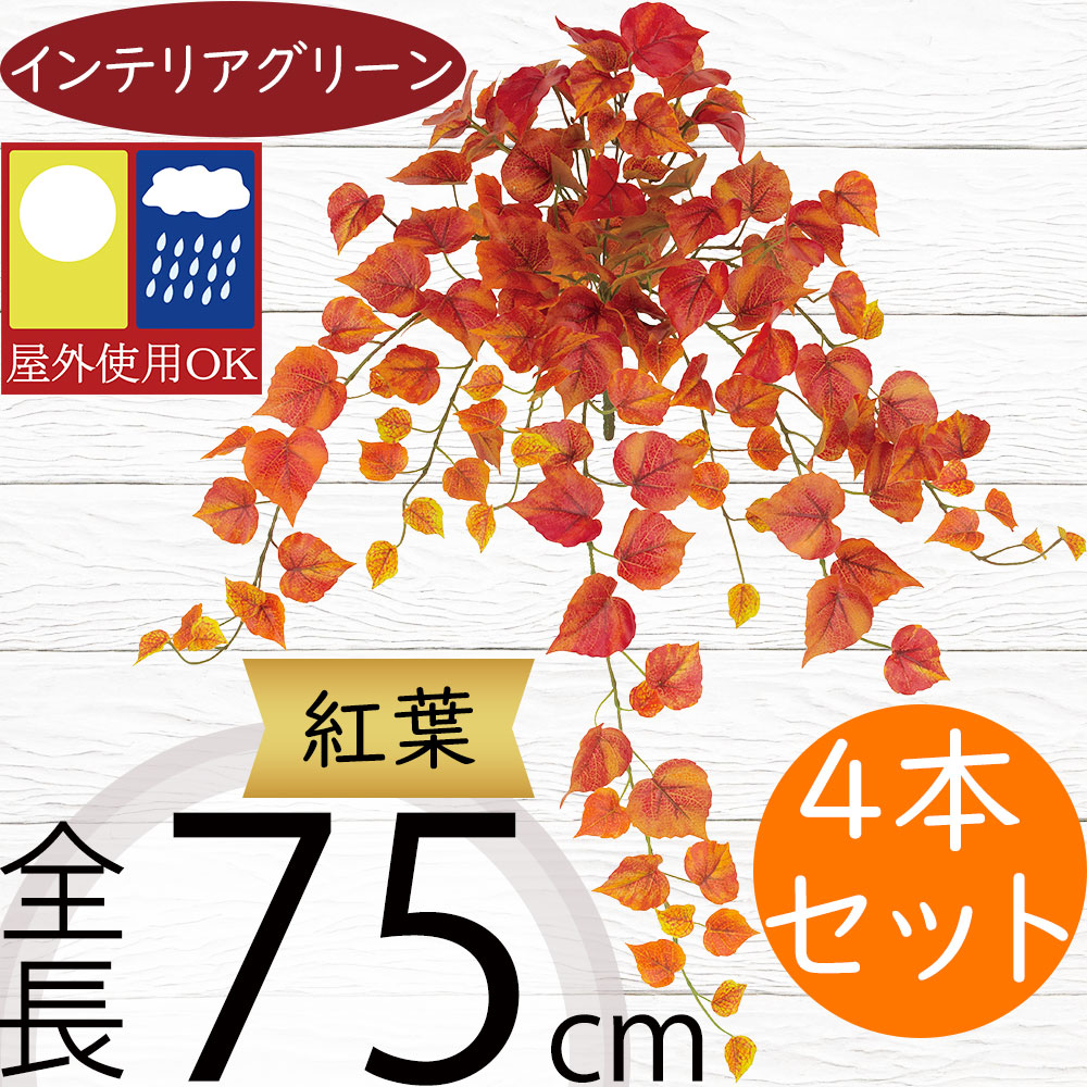 クーポン券