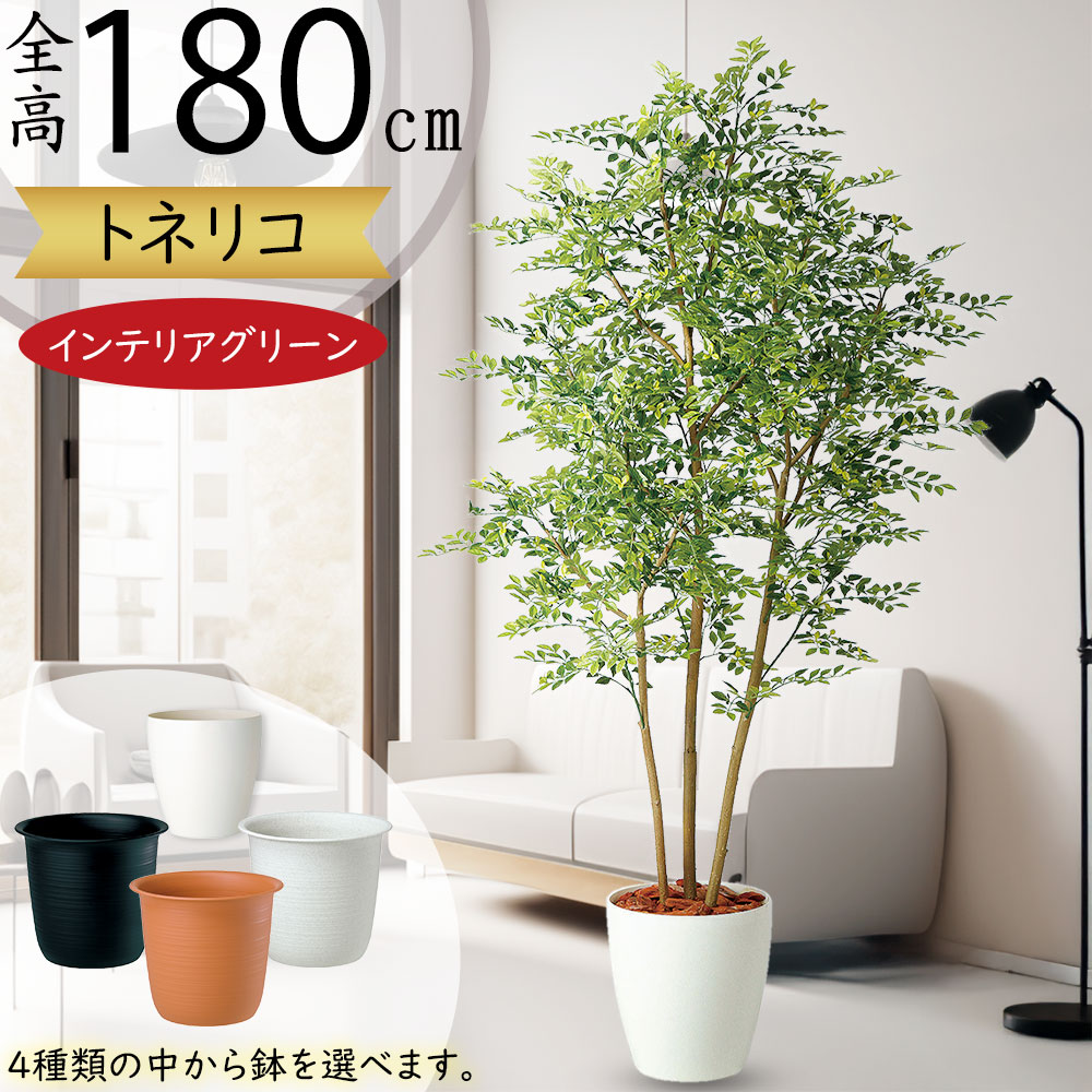 クーポン券