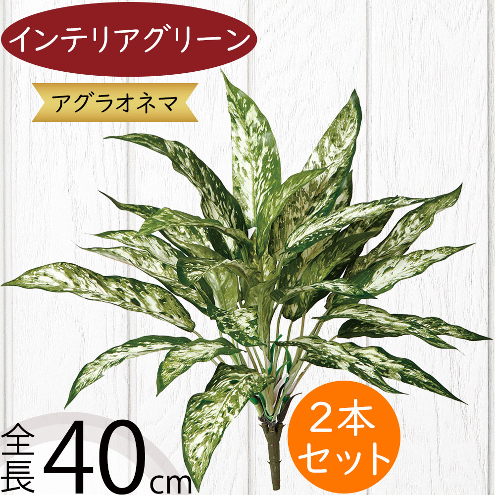 フェイクグリーン 人気 おすすめ リアル 観葉植物 インテリアグリーン 人工観葉植物 造花 アートグリーン 人工樹木 花材 葉 インテリア オブジェ フラワーアレンジメント ディスプレイ アグラオネマ ブッシュ トロピカル 南国ムード リゾート 斑入り 全長40cm 2本セット