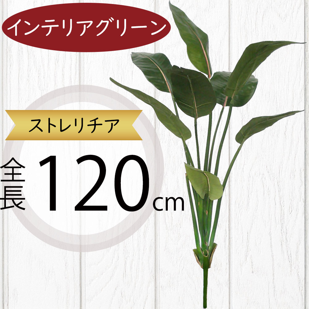 クーポン券