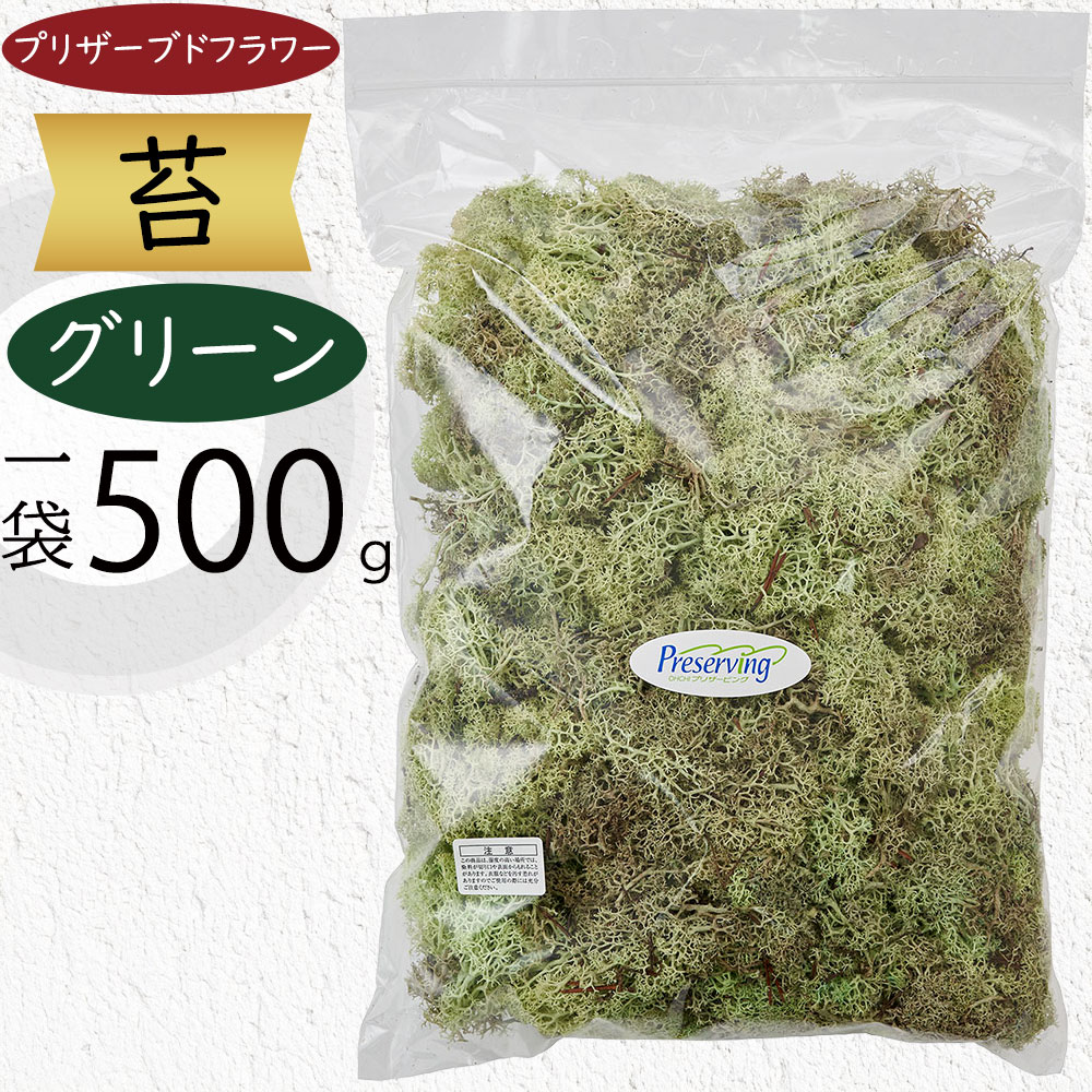 クーポン券