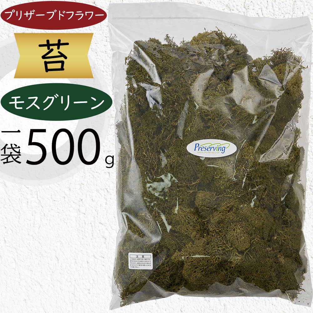 クーポン券