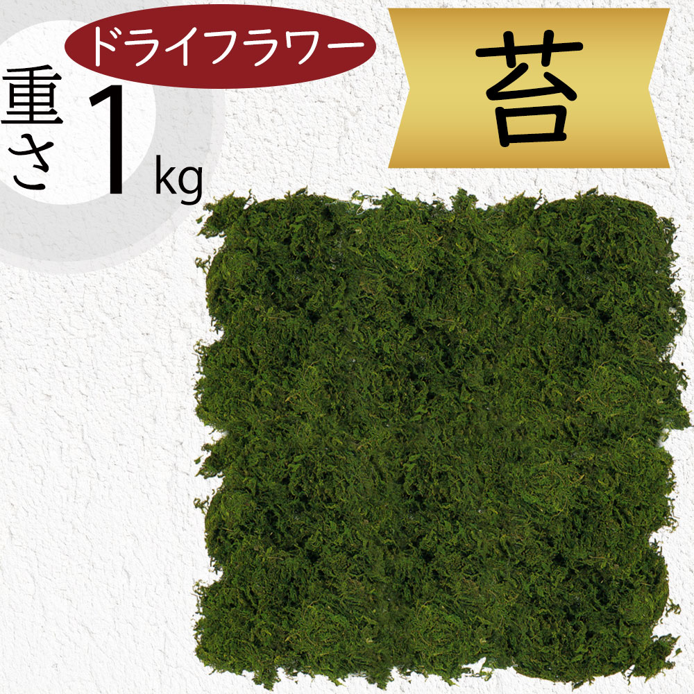 クーポン券